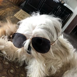 Meet your Posher, Corbin